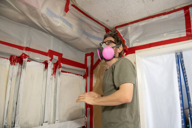 Professional Mold Removal in Apache Junction, AZ