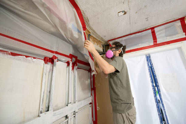 Best Crawl Space Mold Remediation  in Apache Junction, AZ