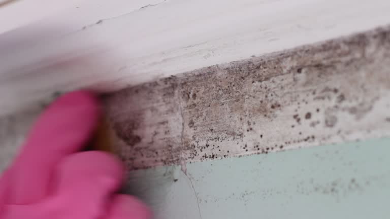 Asbestos and Lead Testing During Mold Inspection in Apache Junction, AZ